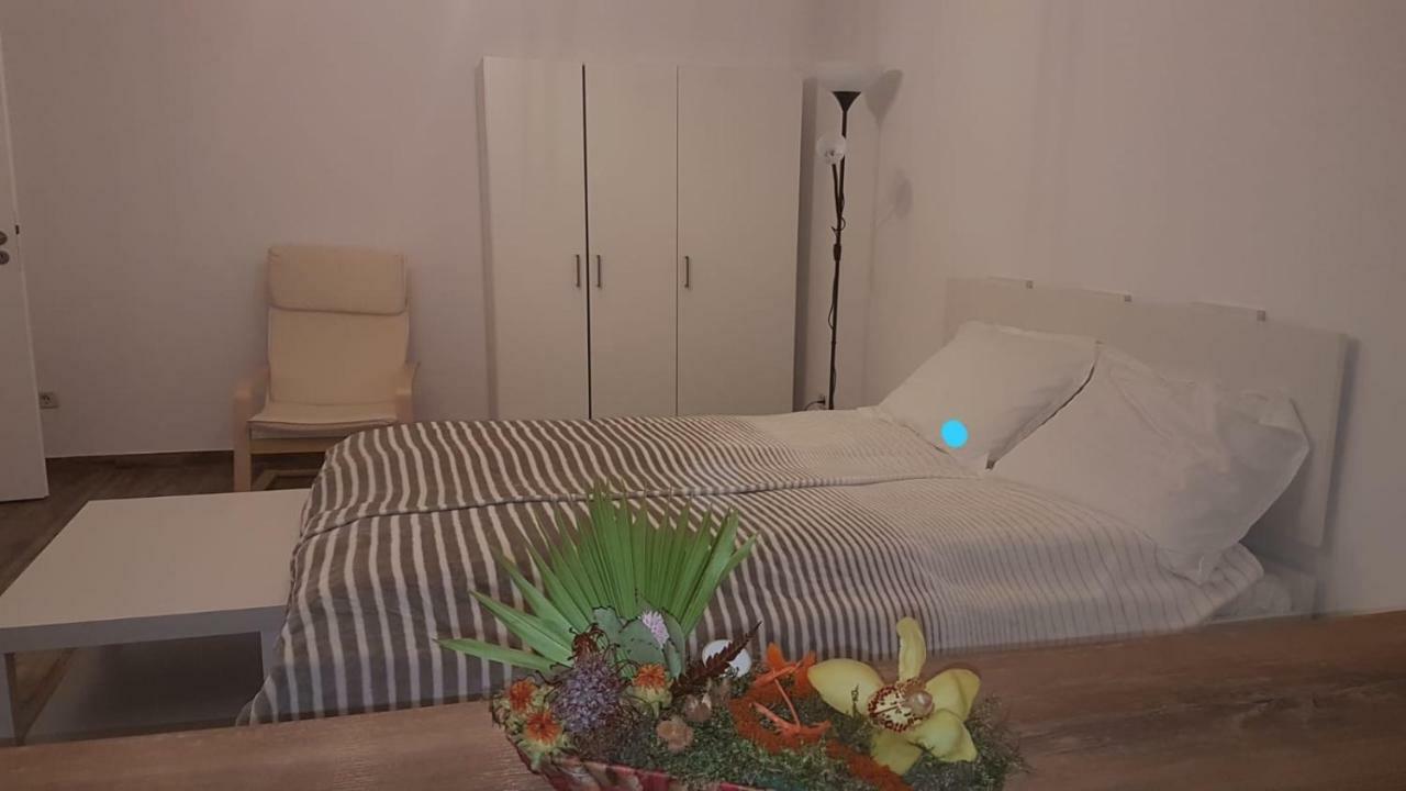 Bsv Accomodation 티미쇼아라 외부 사진